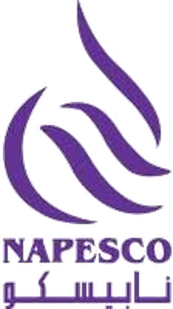 NAPESCO logo